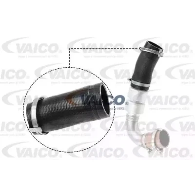 Kuva VAICO V25 1036 Ahdinletku Kumi kudosvahvikkeella Q+, original equipment manufacturer quality FORD: MONDEO 4 Turnier, KUGA 1,