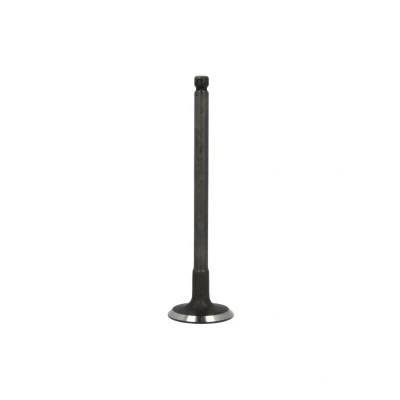 Kuva FRECCIA R6250/SNT Imuventtiili 27,4 Venttiilivarsi nitrattu