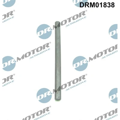 Kuva Akseli, öljypumppu Dr.Motor Automotive DRM01838