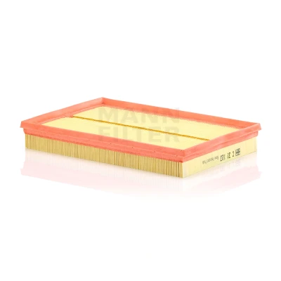 Kuva MANN FILTER C 31 123 Ilmansuodatin 42 209 309 Suodatinpanos