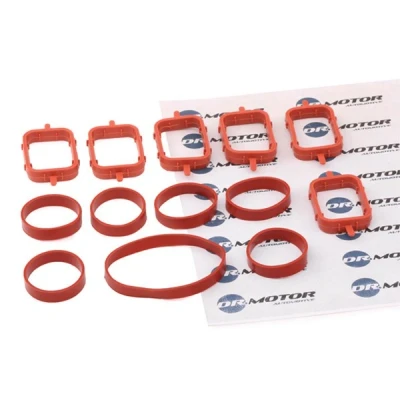 Kuva DR.MOTOR AUTOMOTIVE DRM0110SL Tiivistesarja, Imusarja BMW: 5 Touring, X5, 3 Touring