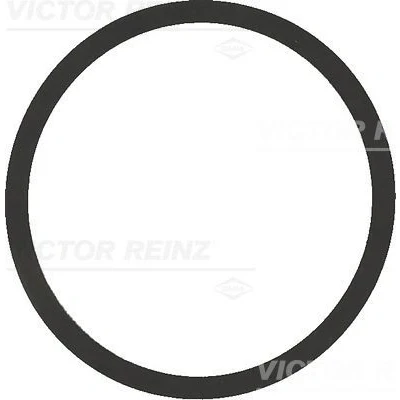 Kuva REINZ 40 77542 00 Imusarjan Tiivisteet VOLKSWAGEN: Polo IV Hatchback