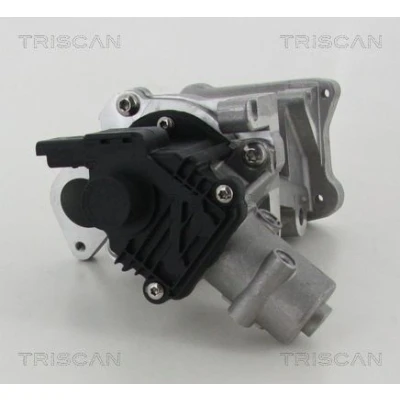 Kuva TRISCAN 8813 10007 EGR Venttiili Sähköinen Tiivisteillä FORD: MONDEO 4 Turnier, 4, S Max Mk1, PEUGEOT: 407 Sedan, SW