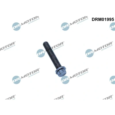 Kuva DR.MOTOR AUTOMOTIVE DRM01995 Kiertokangen Pultti M8 VOLKSWAGEN: Caddy 3, Golf 5, Transporter AUDI: A6 C6 Avant, A3 Sportback, A4 B8 Avant