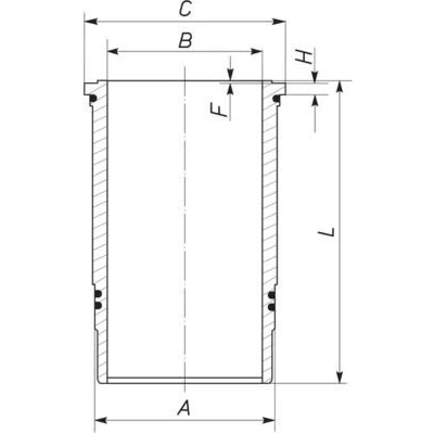 Kuva Sylinteriputki MAHLE 037 LW 00106 001