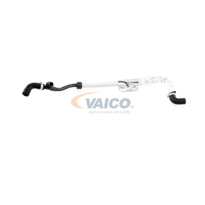 Kuva VAICO V10 3625 Jarrutehostimen Alipaineletku Q+, original equipment manufacturer quality MADE IN GERMANY VOLKSWAGEN: Golf 4 Variant,