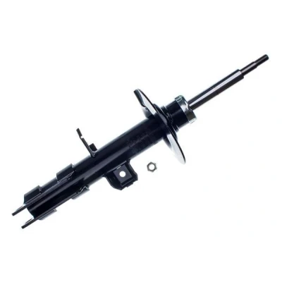 Kuva Iskunvaimennin, Oikea BMW X5 [E53] OE 31306754342, 31306754344, 31311096272