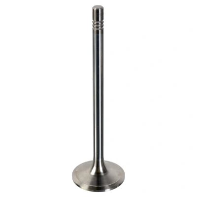 Kuva FEBI BILSTEIN 178935 Imuventtiili 46