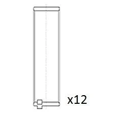 Kuva FAI AutoParts BB2077 STD Kiertokangen Laakeri AUDI: A4 B5 Avant, A6 C6 B7 Avant