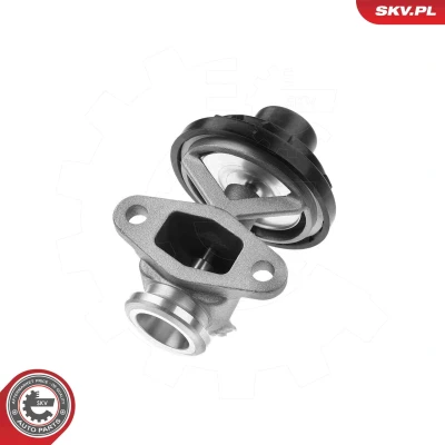 Kuva EGR venttiili ESEN SKV 14SKV291