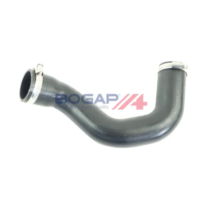 Kuva BOGAP A1711371 Ahdinletku