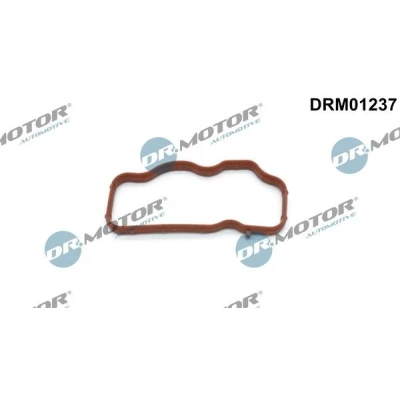 Kuva DR.MOTOR AUTOMOTIVE DRM01237 Imusarjan Tiivisteet sylintereihin 1 3, Imu AUDI: A6 C6 Sedan, Q7, Avant