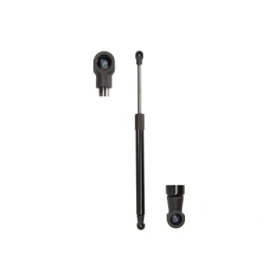 Kuva Kaasujousi, takaluukku/kuormatila MAGNUM TECHNOLOGY MGS3011