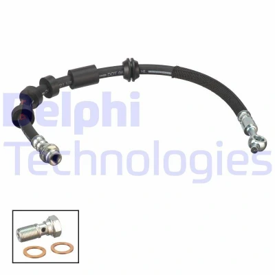 Kuva DELPHI LH7699 Jarruletku 441 M10x1 120o SF