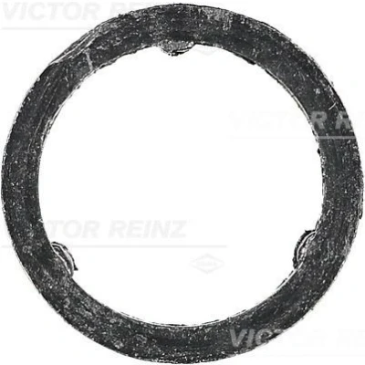 Kuva REINZ 71 10129 00 Pakosarjan Tiivisteet BMW: 3 Touring, 5 Sedan