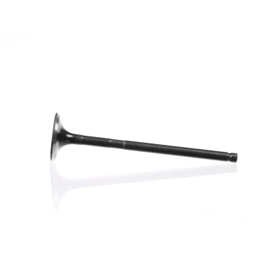 Kuva Pakoventtiili, Poistopuoli FORD, MAZDA, VOLVO OE 1324690, 8694780
