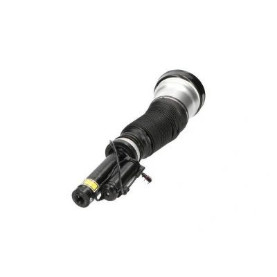 Kuva Ilmajousijalka KAVO PARTS SAS 10013
