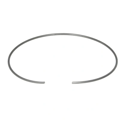 Kuva Euroricambi 60531368 Lukkorengas
