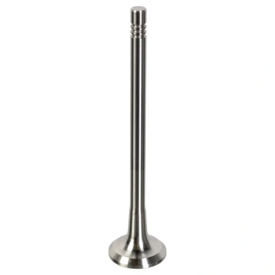 Kuva FEBI BILSTEIN 181075 Pakoventtiili 23,4 RENAULT: MEGANE 3 Grandtour,