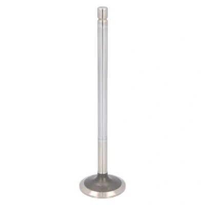 Kuva FEBI BILSTEIN 183925 Imuventtiili 49