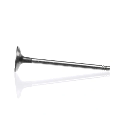 Kuva Imuventtiili, Imupuoli CITROËN, FIAT, FORD, LANCIA, PEUGEOT, SUZUKI, VOLVO, VW OE 0948.A3, 8653745, 9627184380