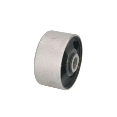 Kuva TEDGUM 00441260 Kiinnitys, Differentiaali Taka akseli, molemminpuolinen, Takana MITSUBISHI: Outlander I SUV