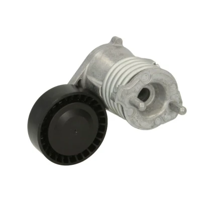 Kuva DAYCO APV3019 Hihnankiristin FORD: Focus 2