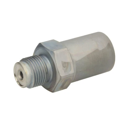 Kuva Paineenrajoitinventtiili, Common Rail järjestelmä BOSCH 1 110 010 034