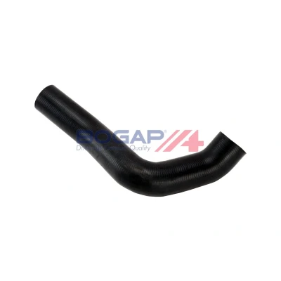 Kuva BOGAP B4228582 Jäähdyttimen Letku BMW: 3 Touring, Coupe, Sedan