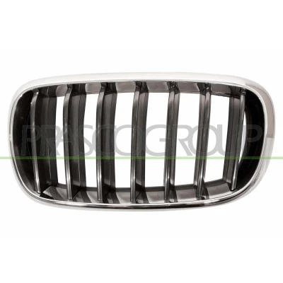 Kuva BLIC 6502 07 00969911P Etusäleikkö Eteen, vasen Kromi, Musta BMW: X5