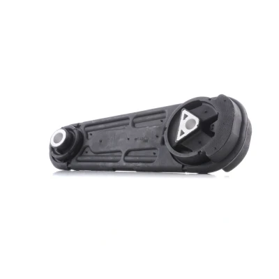 Kuva REINHOCH RH11 2048 Pidike, Moottorintuenta Takana RENAULT: GRAND SCENIC 2, DACIA: Duster SUV