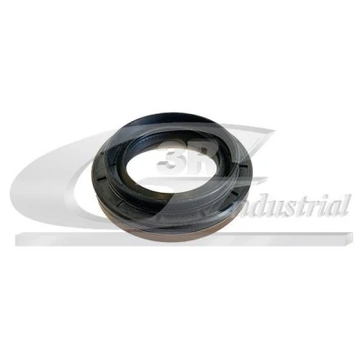 Kuva 3RG 82667 Akselitiiviste, Tasauspyörästö Vaihteiston puoli RENAULT: MEGANE 2 Kombi, DACIA: Duster SUV, NISSAN: Qashqai / Qashqai+2 I