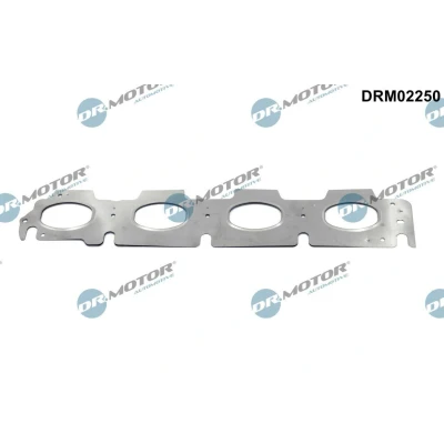Kuva DR.MOTOR AUTOMOTIVE DRM02250 Pakosarjan Tiivisteet