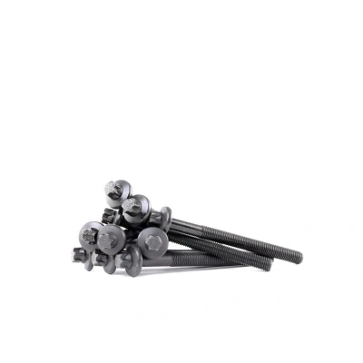 Kuva CORTECO 016244B Kannen Pultit Torx, ulko 10 RENAULT: CLIO 2, Kangoo I, 1