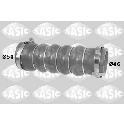 Kuva SASIC 3336232 Ahdinletku