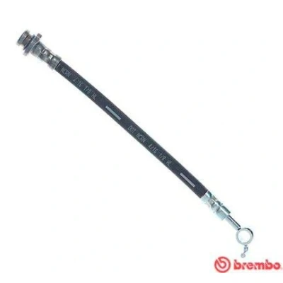Kuva BREMBO T 56 163 Jarruletku 255 F10X1 NISSAN: Qashqai 2, / Qashqai+2 I, X Trail