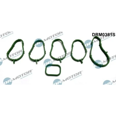 Kuva DR.MOTOR AUTOMOTIVE DRM0381S Tiivistesarja, Imusarja