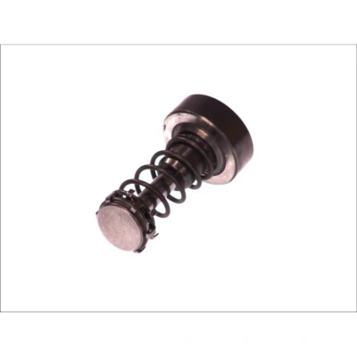 Kuva Mäntä, Common Rail pumppu BOSCH F 01M 101 355