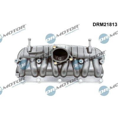Kuva DR.MOTOR AUTOMOTIVE DRM21813 Imusarjamoduli SKODA: Octavia 2 Combi, II Hatchback, AUDI: A3 Sportback, SEAT: Altea XL
