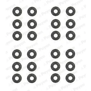 Kuva PAYEN HR5062 Venttiilinvarren Kumit FPM (fluori kumi) BMW: 5 Touring, 3 Sedan, VOLKSWAGEN: Bora Golf 4 Variant,