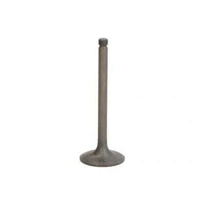Kuva FRECCIA R6333/SNT Imuventtiili 39,4 Venttiilivarsi nitrattu