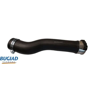 Kuva BUGIAD 82441 Ahdinletku Kuorella