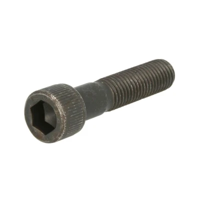 Kuva DT Spare Parts 1.15219 Ruuvi