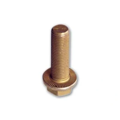 Kuva Ruuvi AUGER 51519