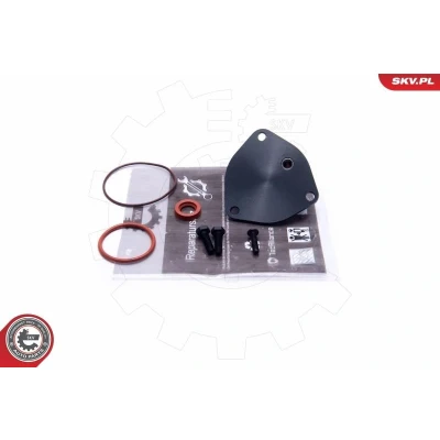 Kuva Korjaussarja, alipainepumppu (jarru) AUDI, FORD, SEAT, SKODA, VW OE 028145101A, 028145101E, 028145101F