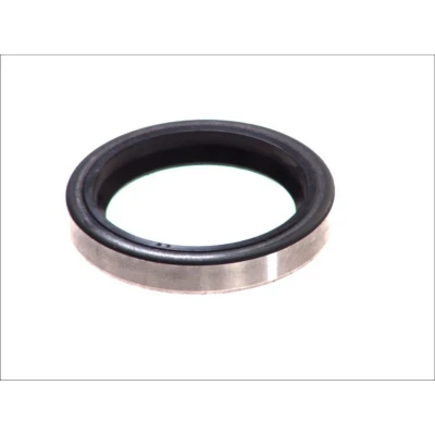Kuva ELRING 040.991 Rengastiiviste