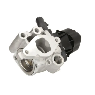 Kuva EGR venttiili DELPHI EG10482 12B1