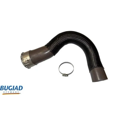 Kuva BUGIAD 82569 Ahdinletku Kuorella