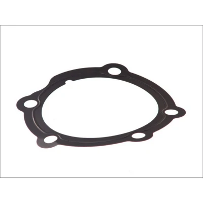 Kuva DT Spare Parts 2.32397 Tiiviste