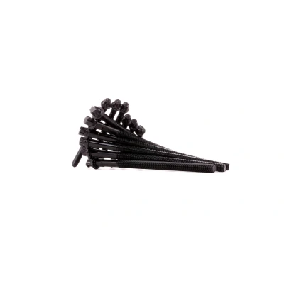 Kuva REINZ 14 32314 01 Kannen Pultit Torx, ulko BMW: 3 Coupe, Touring, Sedan